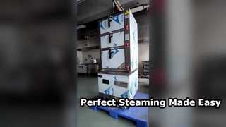 Induction Steam Cabinet