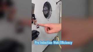 Floor Western Induction Wok Cooker