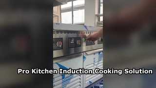 Floor Western Induction Cooker